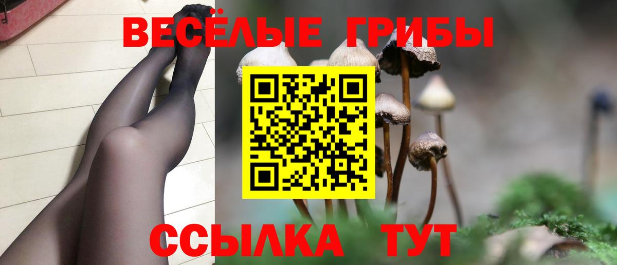 Кинель  Псилоцибиновые грибы ЛСД  Вход с VPN 
